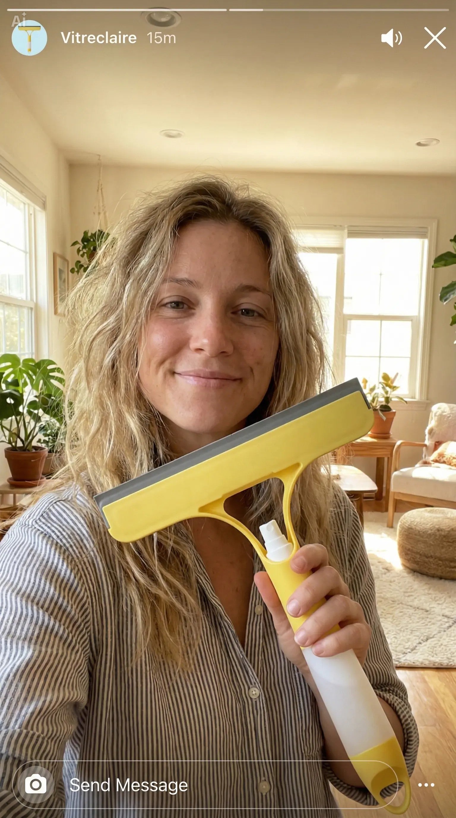 Nettoyeur à Vitres 3-en-1 avec Vaporisateur Intégré