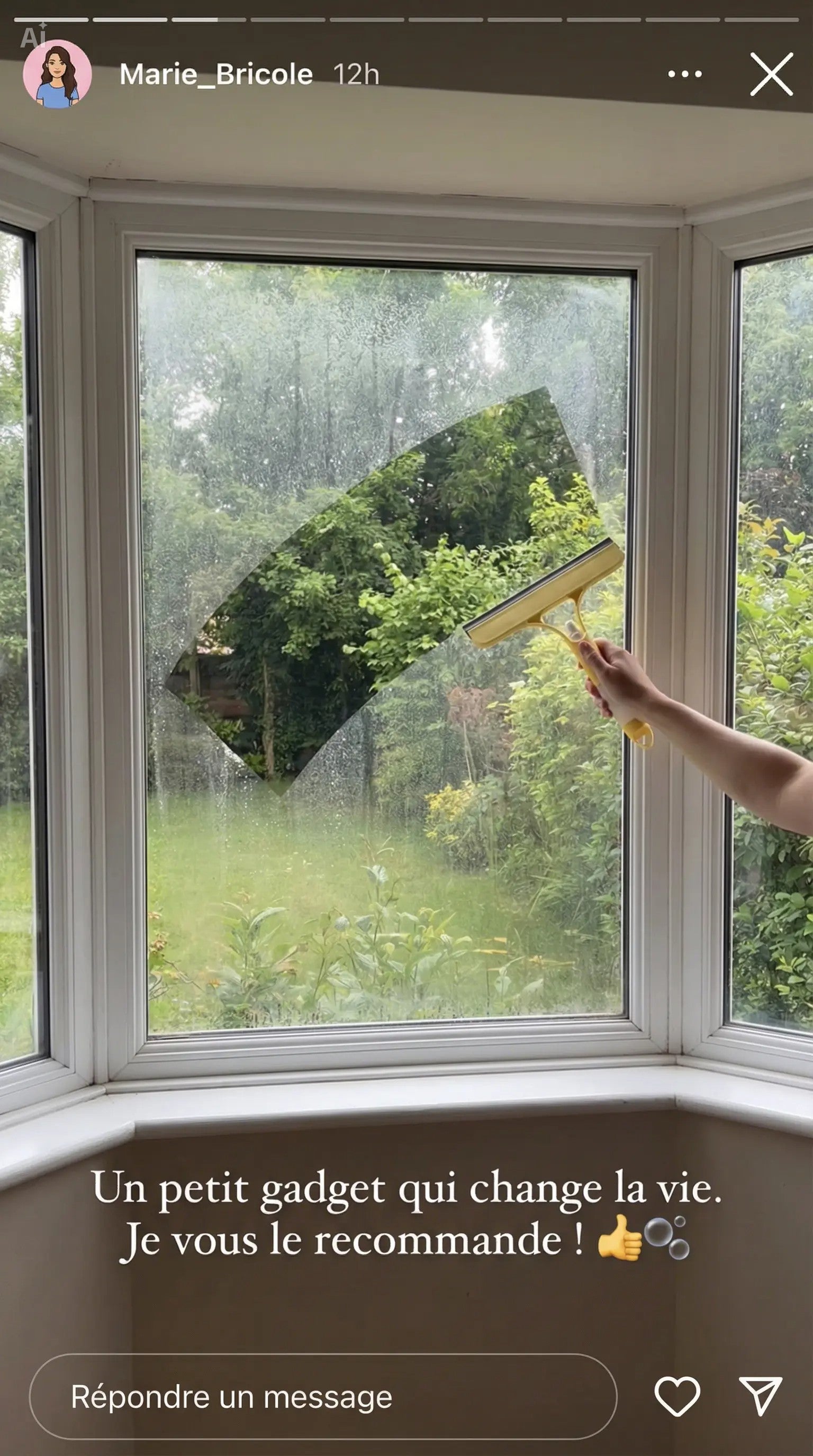 Nettoyeur à Vitres 3-en-1 avec Vaporisateur Intégré