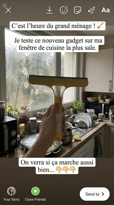 Nettoyeur à Vitres 3-en-1 avec Vaporisateur Intégré