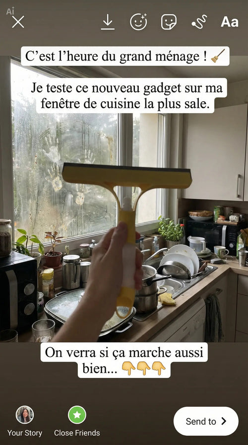 Nettoyeur à Vitres 3-en-1 avec Vaporisateur Intégré