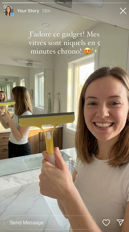 Nettoyeur à Vitres 3-en-1 avec Vaporisateur Intégré