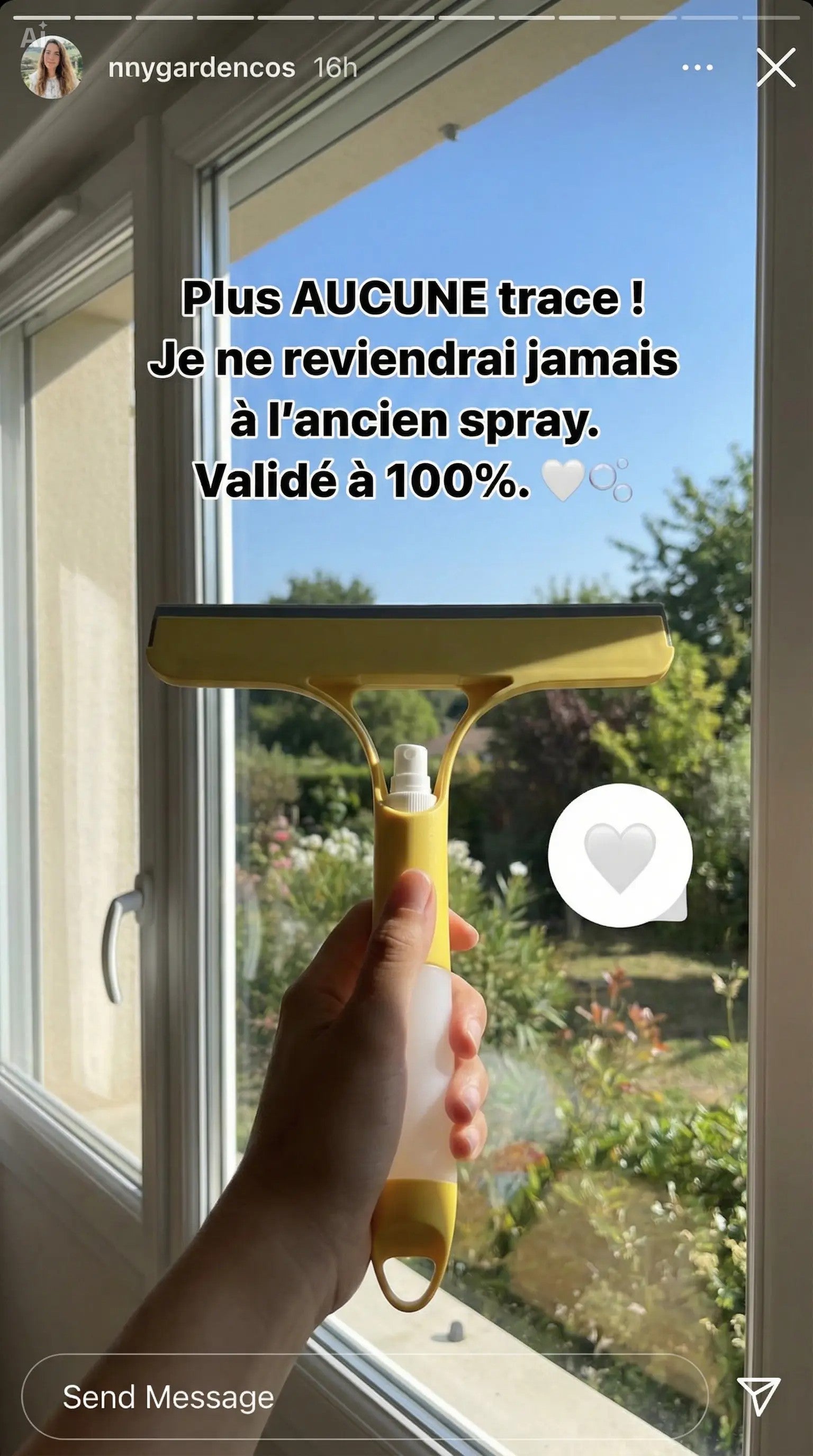 Nettoyeur à Vitres 3-en-1 avec Vaporisateur Intégré